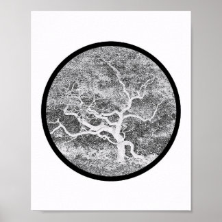 Japanese Maple Form Poster