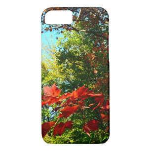 Japanese Maple in Autumn iPhone 8/7 Case