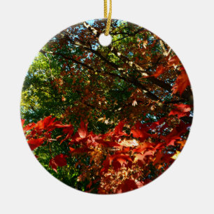 Japanese Maple in Autumn Ceramic Ornament