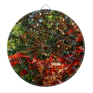 Japanese Maple in Autumn Dartboard