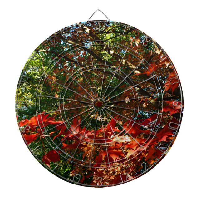 Japanese Maple in Autumn Dartboard (Front)