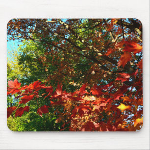 Japanese Maple in Autumn Mouse Pad
