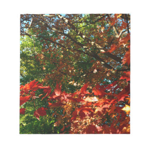 Japanese Maple in Autumn Notepad