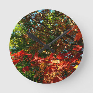 Japanese Maple in Autumn Round Clock