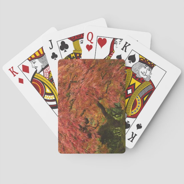 Japanese maple in case color playing cards (Back)
