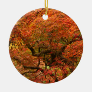 Japanese maple in fall colour ceramic tree decoration