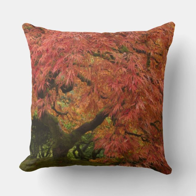 Japanese maple in fall colour cushion (Front)