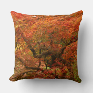 Japanese maple in fall colour cushion