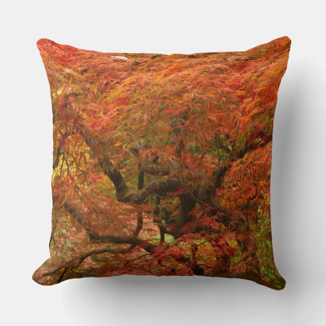 Japanese maple in fall colour cushion (Front)