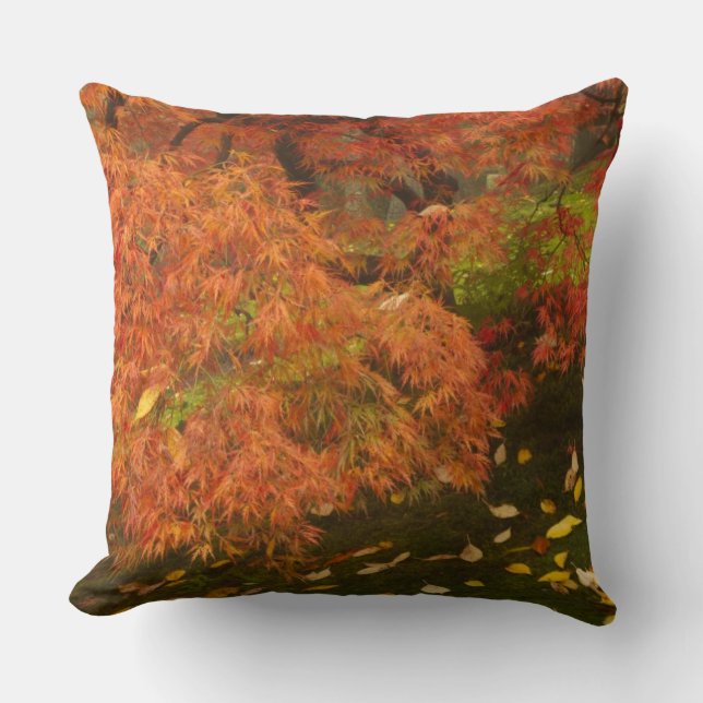 Japanese maple in fall colour cushion (Front)