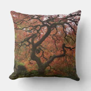Japanese maple in fall colour cushion
