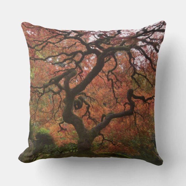 Japanese maple in fall colour cushion (Front)