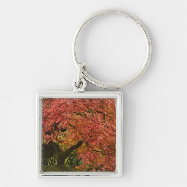 Japanese maple in fall colour key ring (Front)