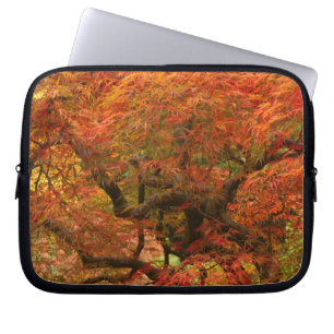 Japanese maple in fall colour laptop sleeve