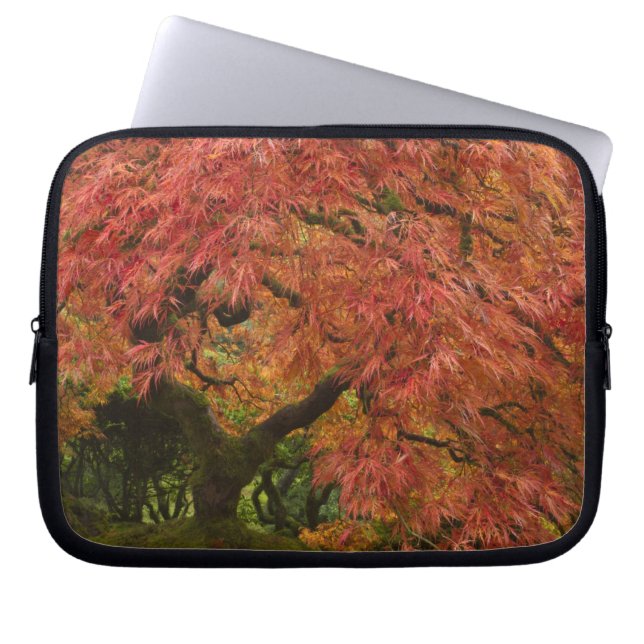 Japanese maple in fall colour laptop sleeve (Front)