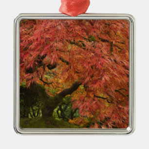 Japanese maple in fall colour metal tree decoration