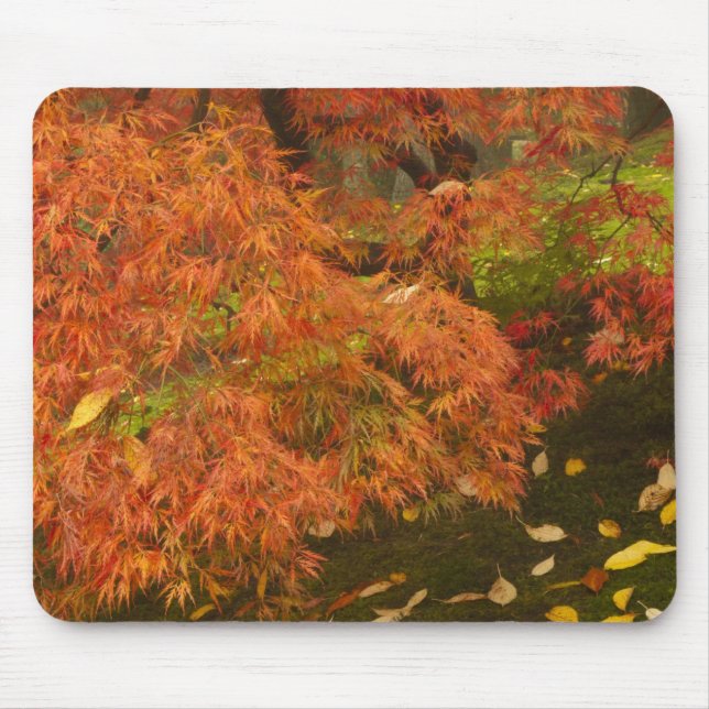 Japanese maple in fall colour mouse pad (Front)