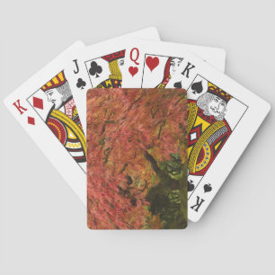 Japanese maple in fall colour playing cards