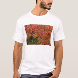 Japanese maple in fall colour T-Shirt