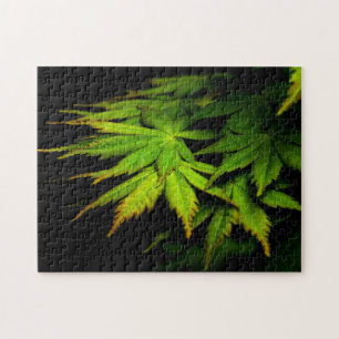 Japanese Maple Jigsaw Puzzle
