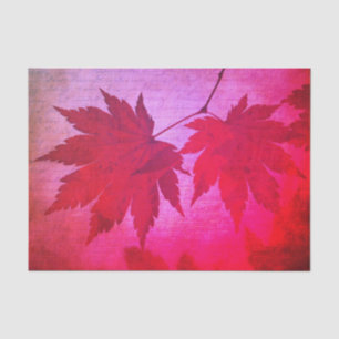 Japanese maple leaf and script fall pink red tissue paper