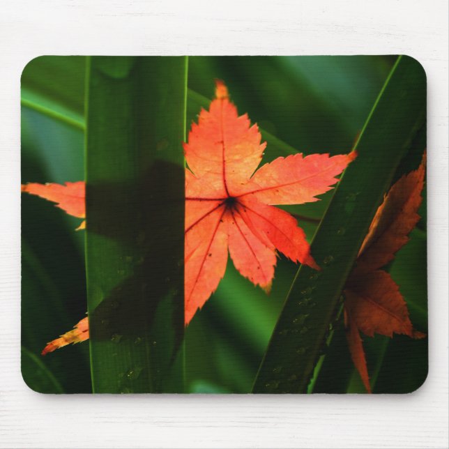 Japanese Maple Leaf Mouse Pad (Front)