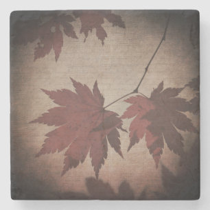 Japanese maple leaf script fall red brown elegant stone coaster