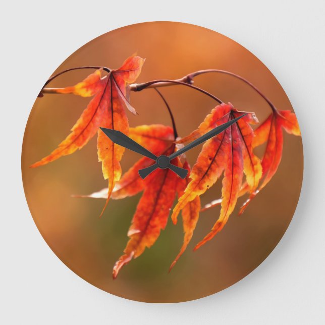 Japanese Maple Leaves Large Clock (Front)