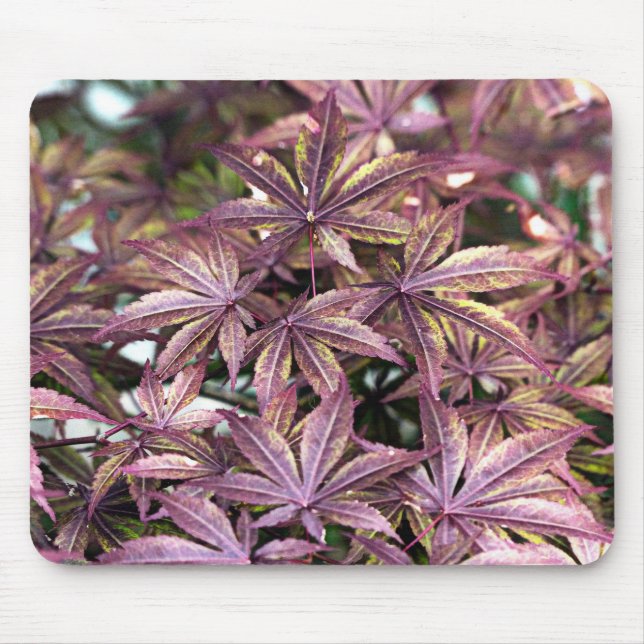 Japanese Maple Leaves Mouse Pad (Front)