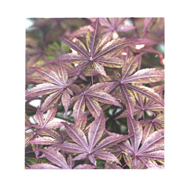 Japanese Maple Leaves Notepad (Front)