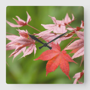 Japanese Maple Leaves Square Wall Clock