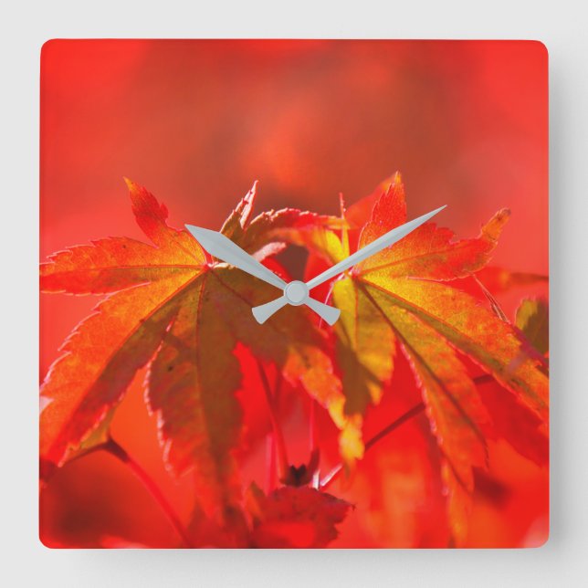 Japanese Maple Leaves Square Wall Clock (Front)