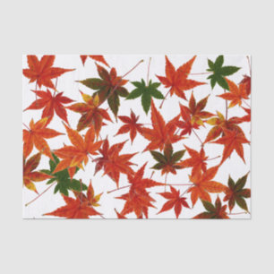 Japanese Maple Leaves Tissue Paper