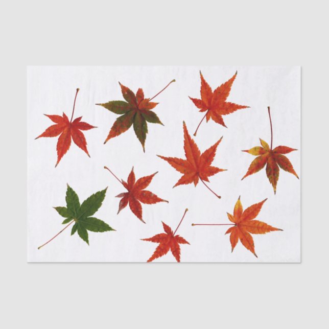 Japanese Maple Leaves Tissue Paper (Front)