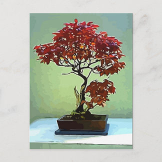 Japanese Maple Postcard