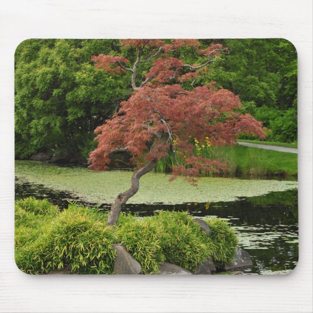 Japanese maple tree and garden pond mouse pad (Front)