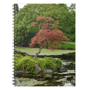 Japanese maple tree and garden pond notebook