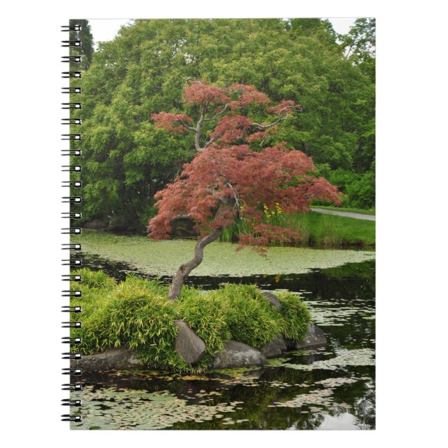 Japanese maple tree and garden pond notebook (Front)
