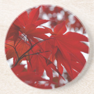 Japanese Maple Tree Coaster