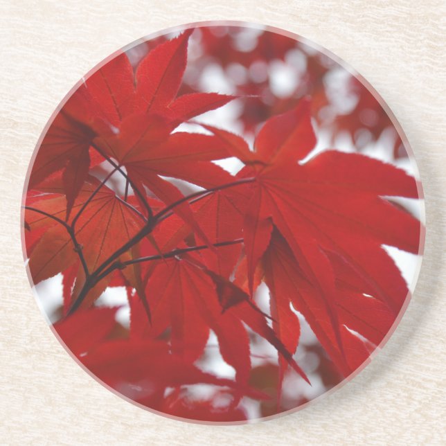 Japanese Maple Tree Coaster (Front)