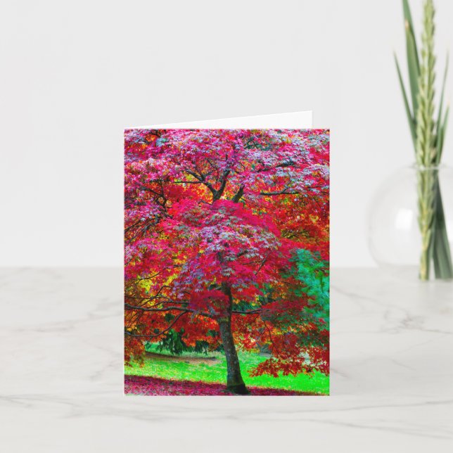 Japanese maple tree Greeting card (Front)