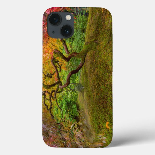 Japanese maple tree in autumn colour Case-Mate iPhone case (Back)