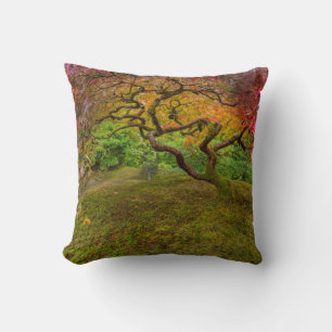 Japanese maple tree in autumn colour cushion
