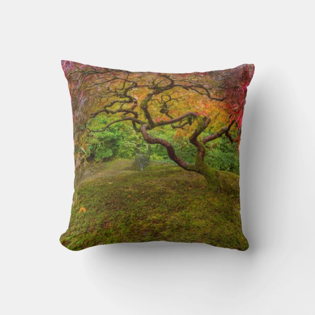 Japanese maple tree in autumn colour cushion (Front)
