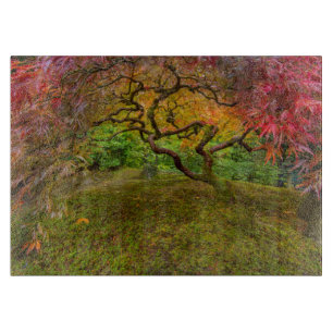 Japanese maple tree in autumn colour cutting board