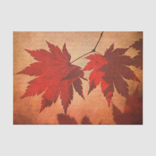 Japanese maple tree leaf script fall orange tissue paper