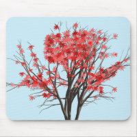 Japanese Maple Tree