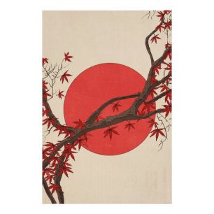 Japanese Maple Tree Photo Print