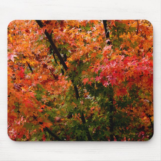Japanese Maples in Fall Mouse Pad (Front)