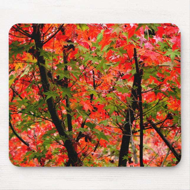 Japanese Maples Mouse Pad (Front)